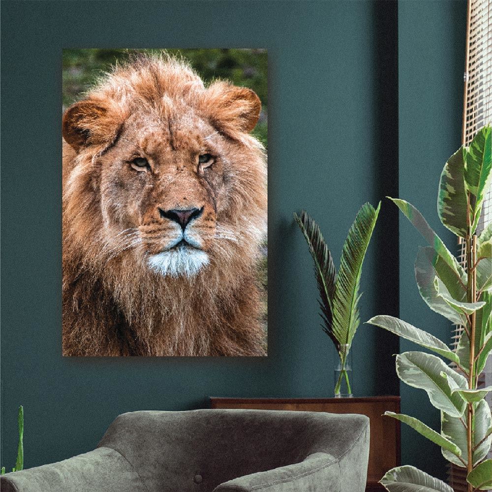 Toile Portrait Lion X Cm