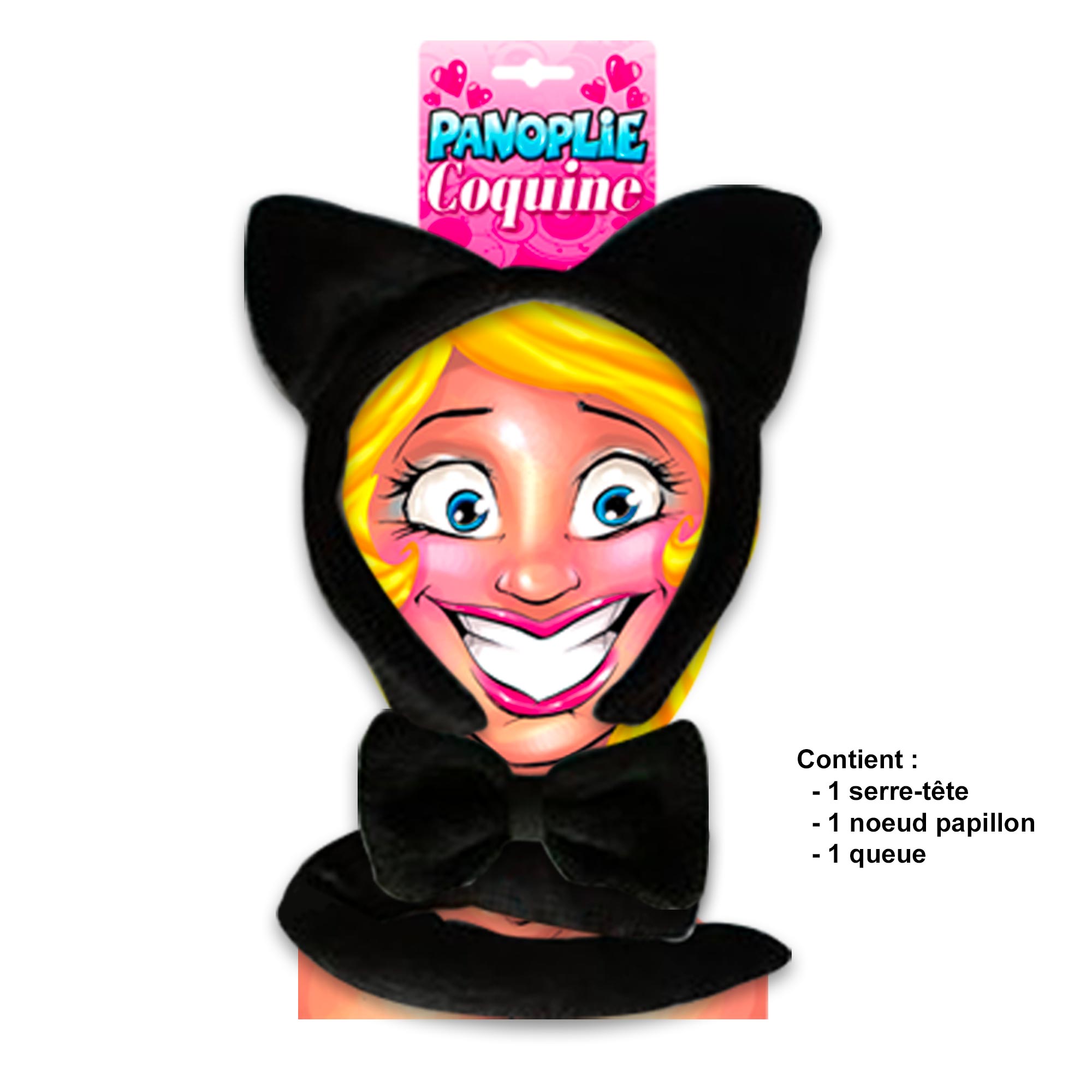 Panoplie chatte