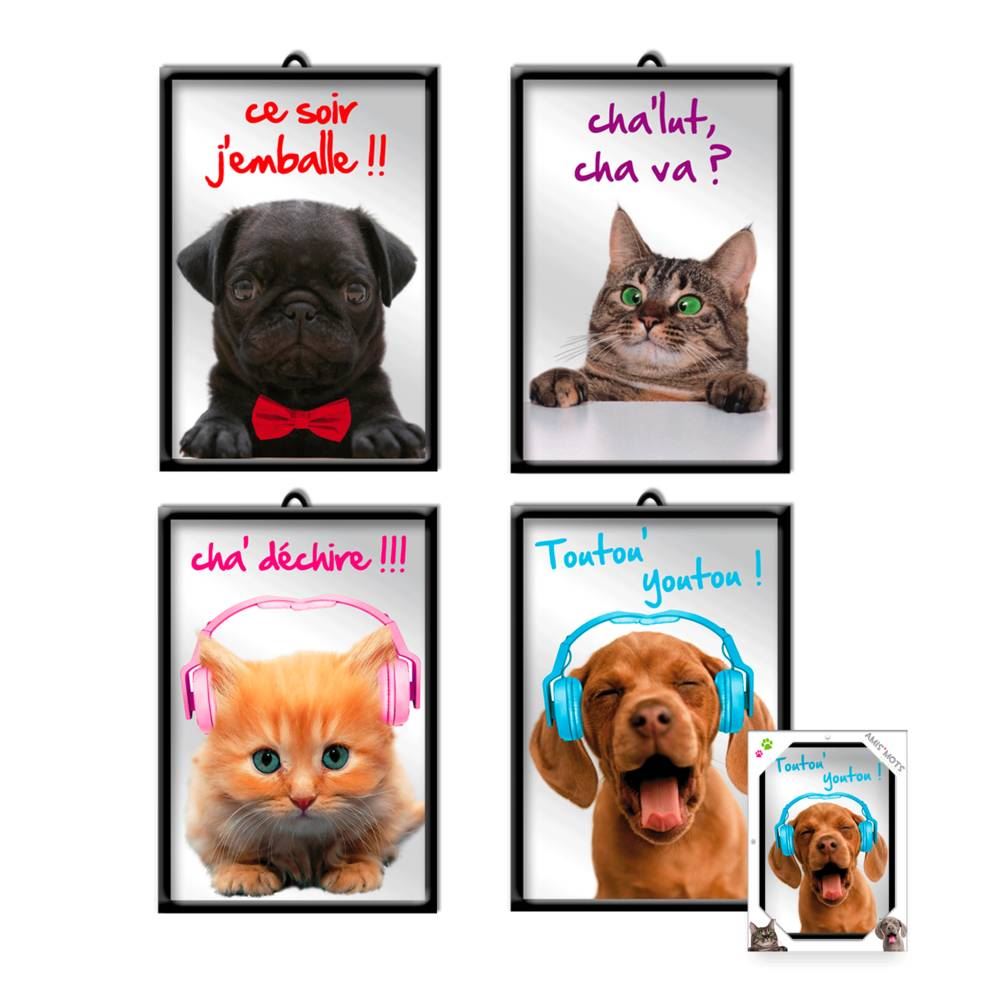 Miroir chien chat 4mods /8pcs