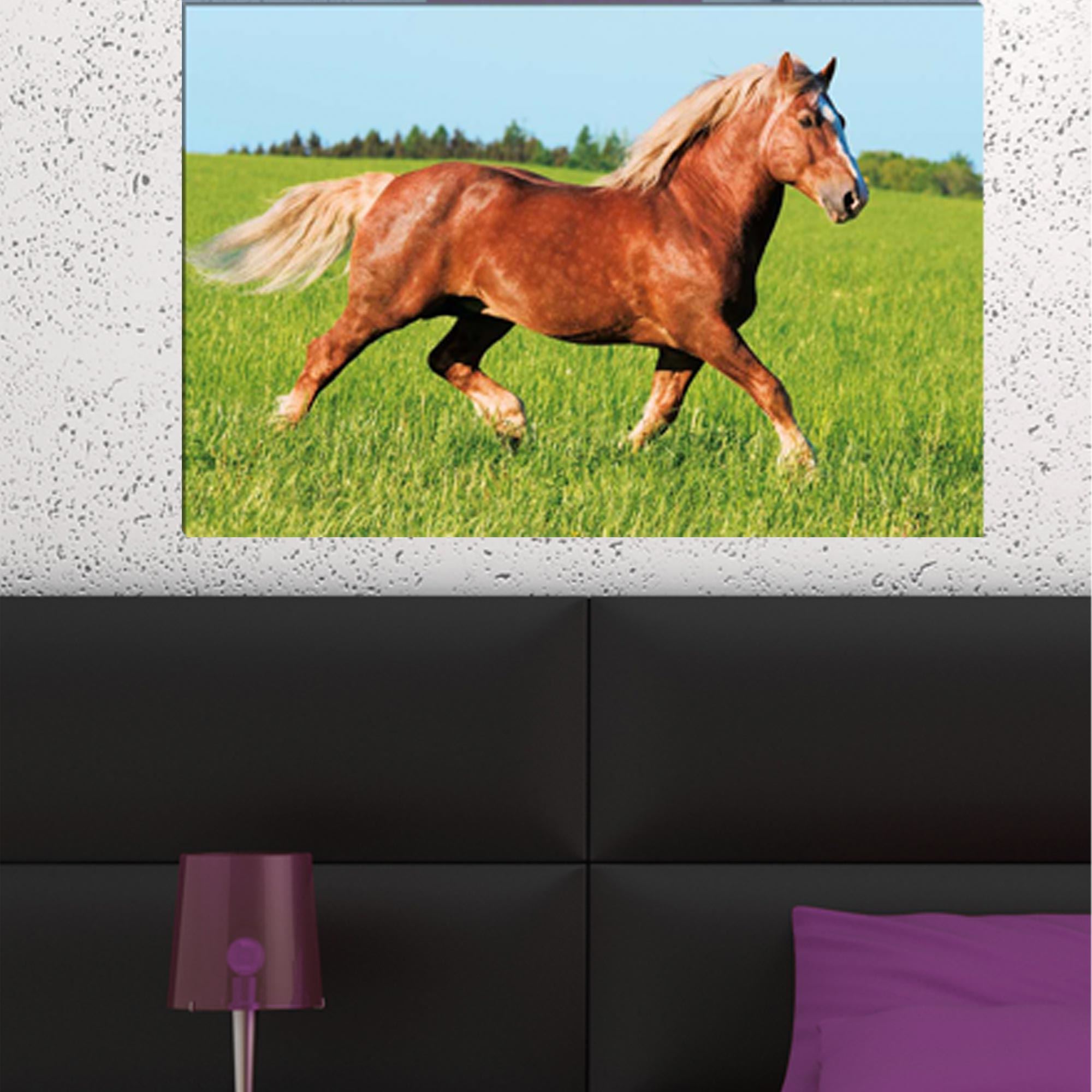 Toile cheval profil 60x40
