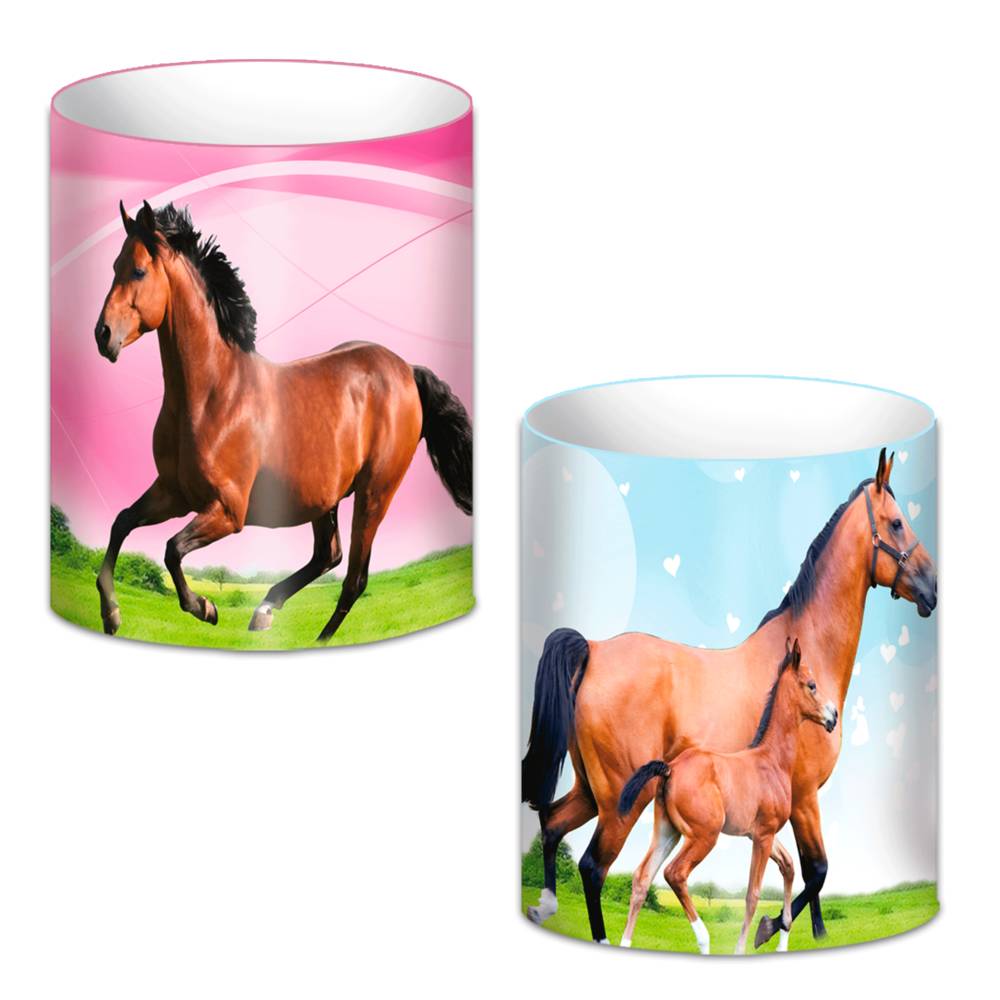 Pot a crayons cheval 2mods /12pcs