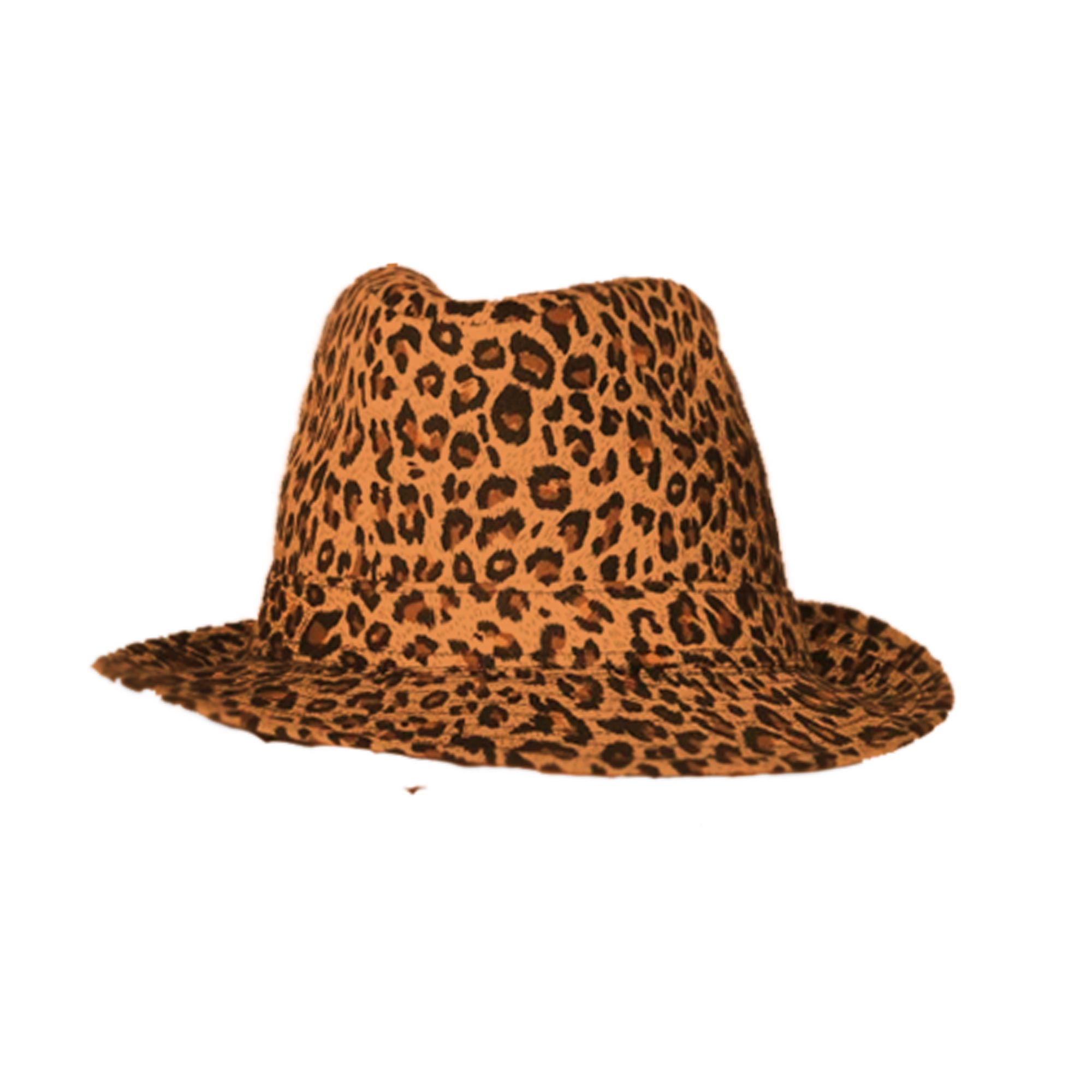 Chapeau leo party