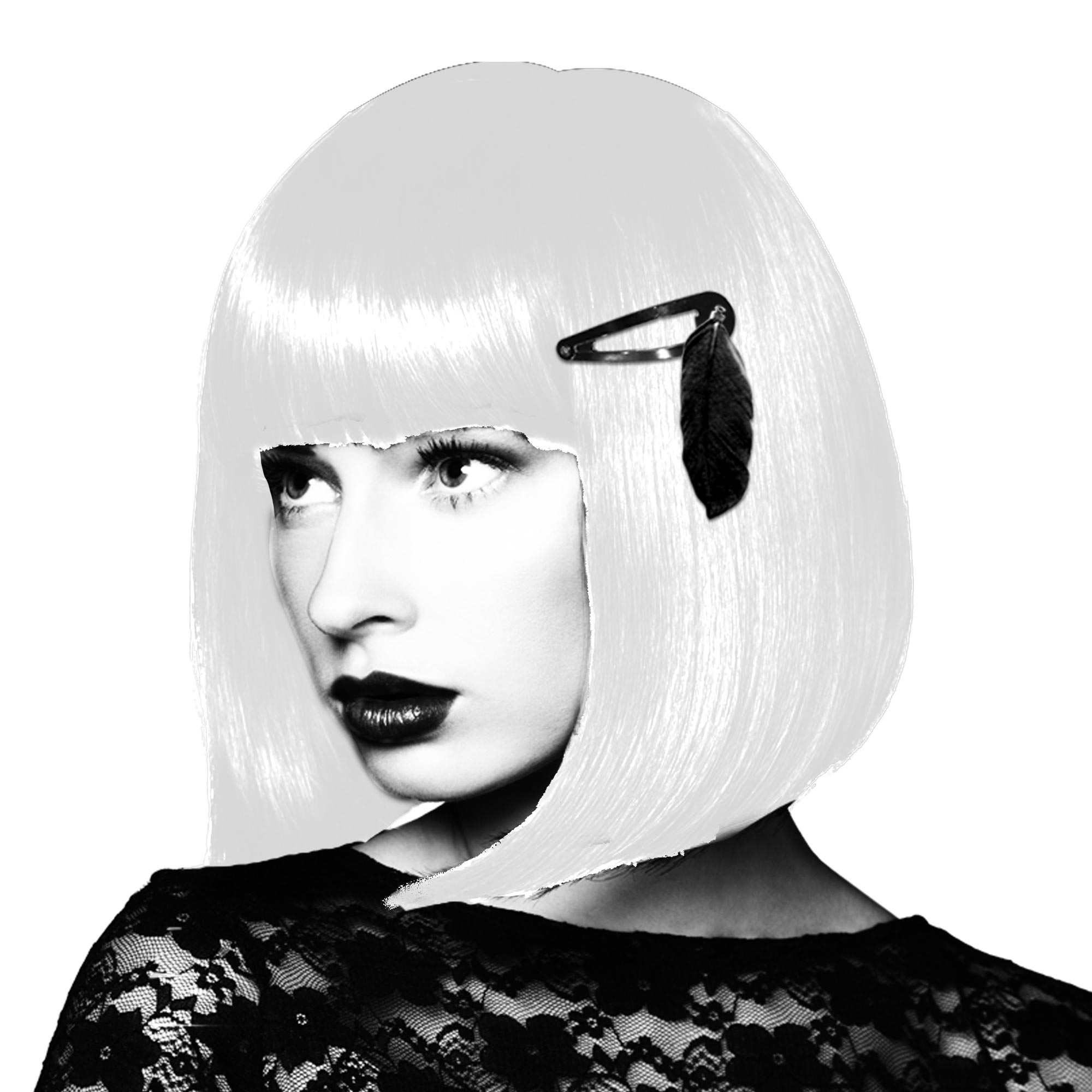 Barrettes plumes black party