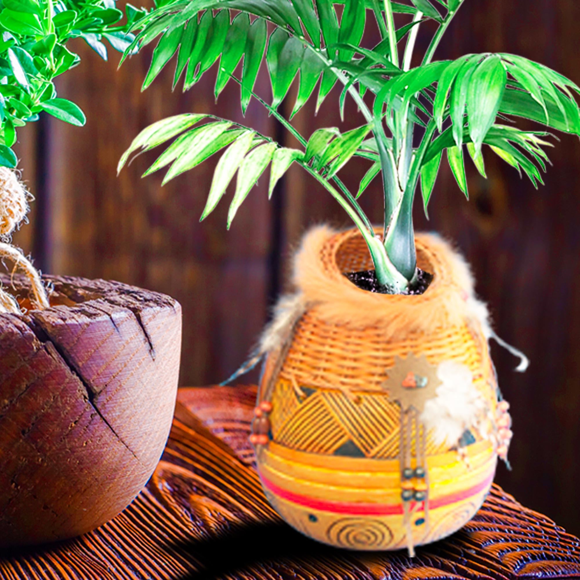 Vase indien + bois