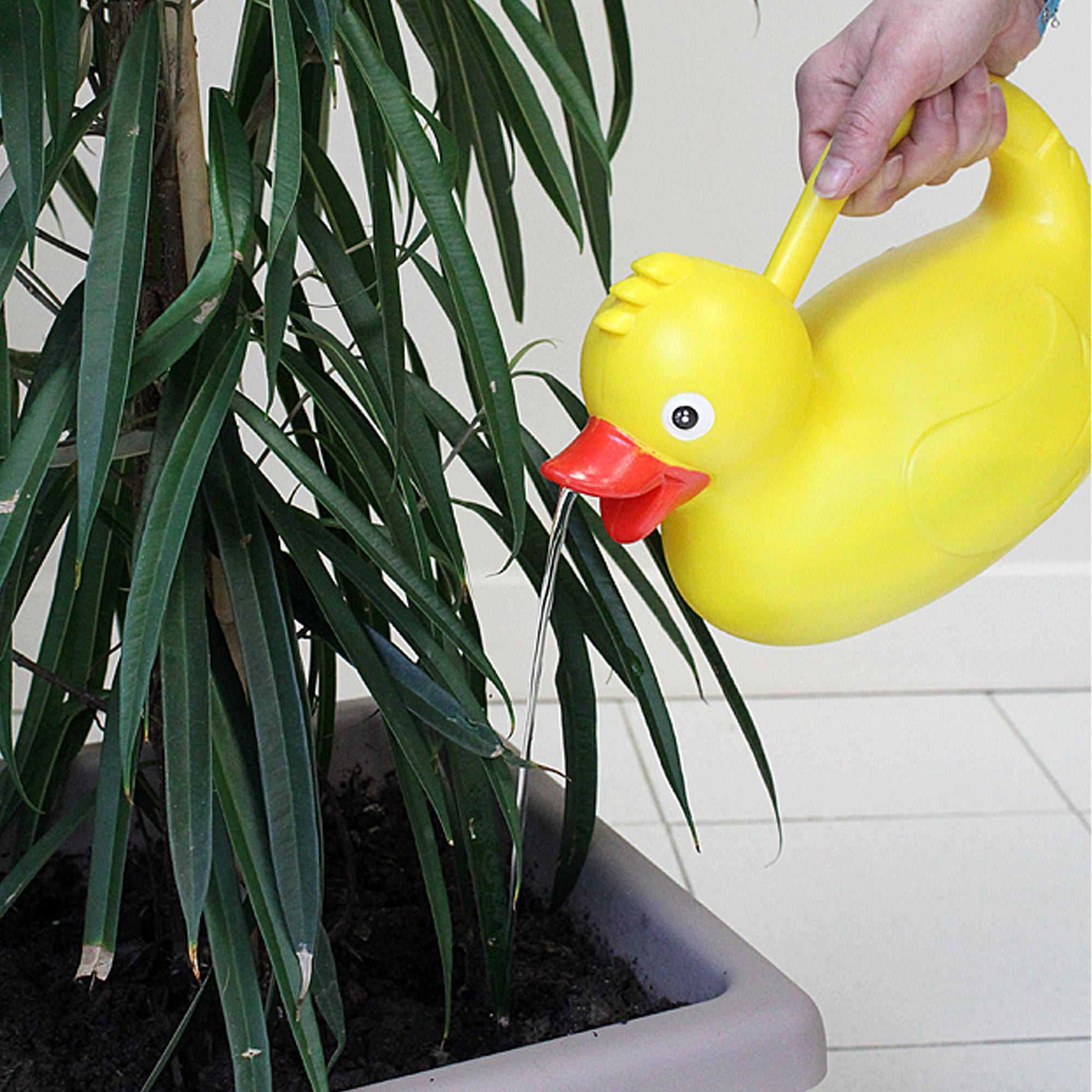 Arrosoir canard