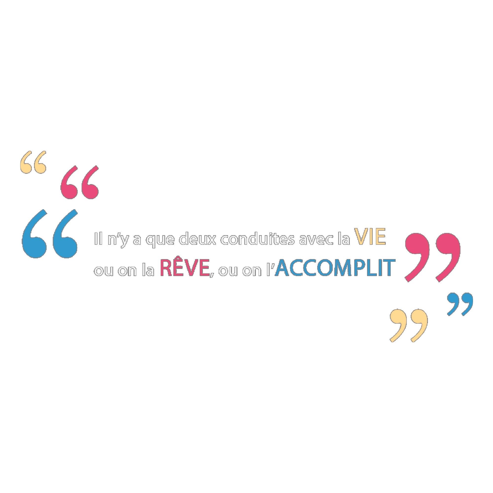 Sticker conduite vie