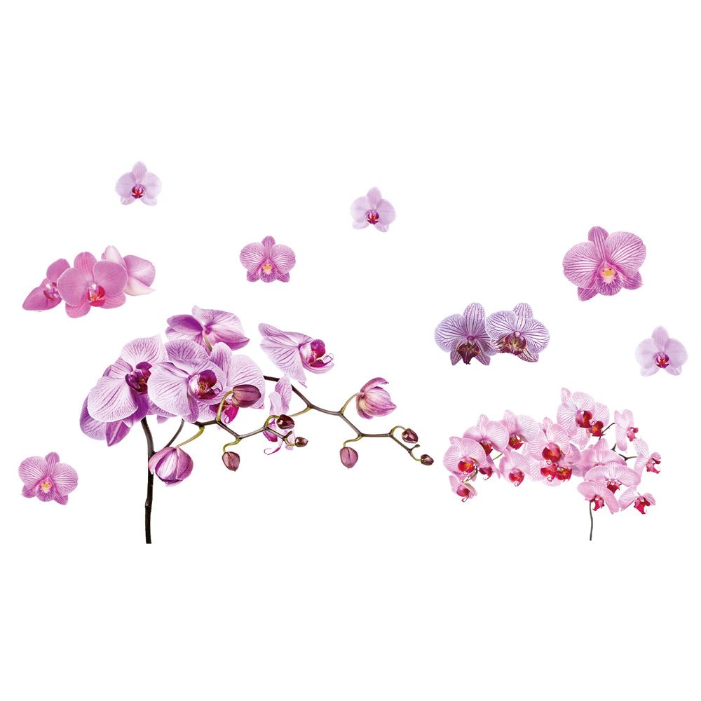 Sticker orchidee