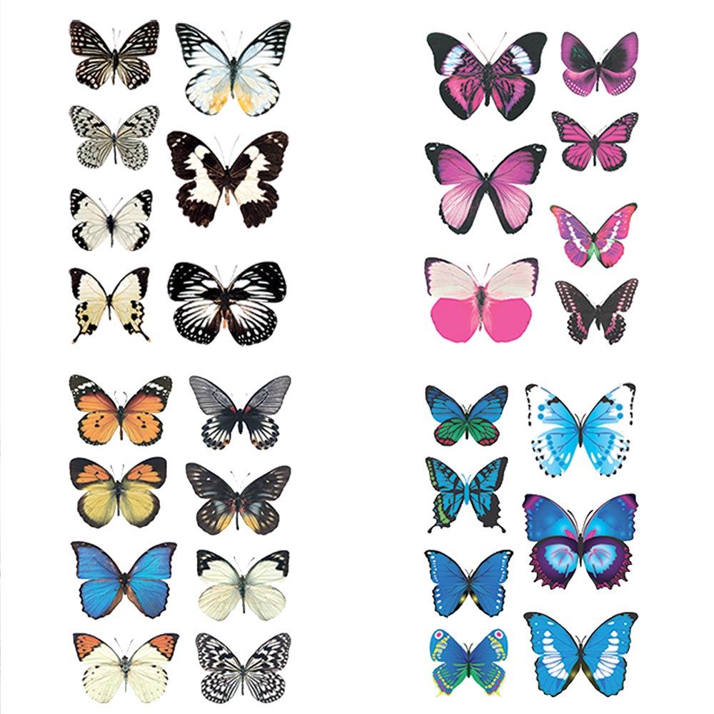 Blister sticker 3d papillon