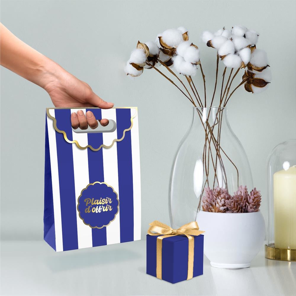 Pochette cadeau rabat plaisir d'offrir pm