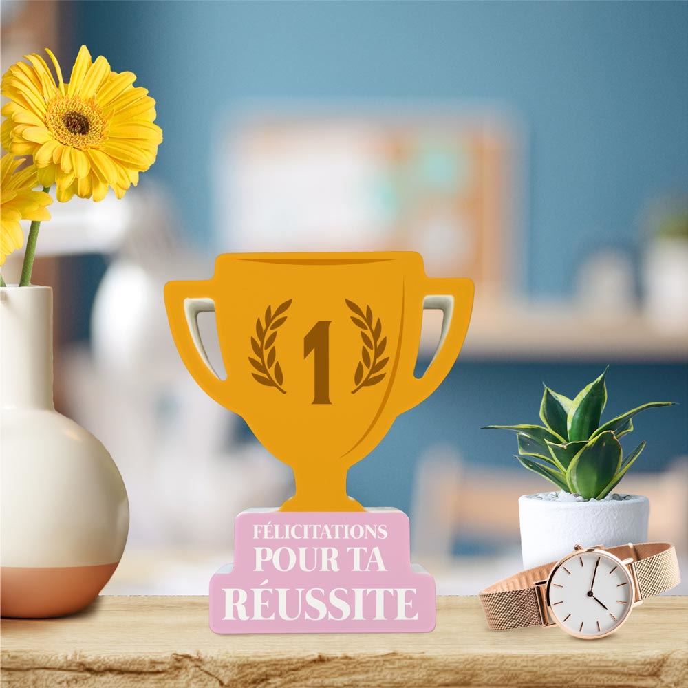 Rubrique Cadeaux Diplômes