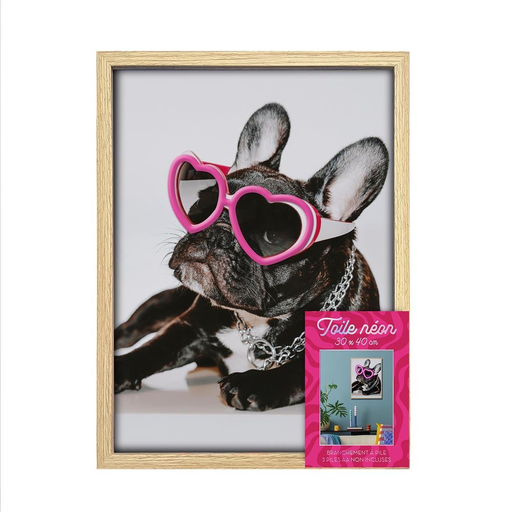 Toile neon chien lunettes 30x40cm