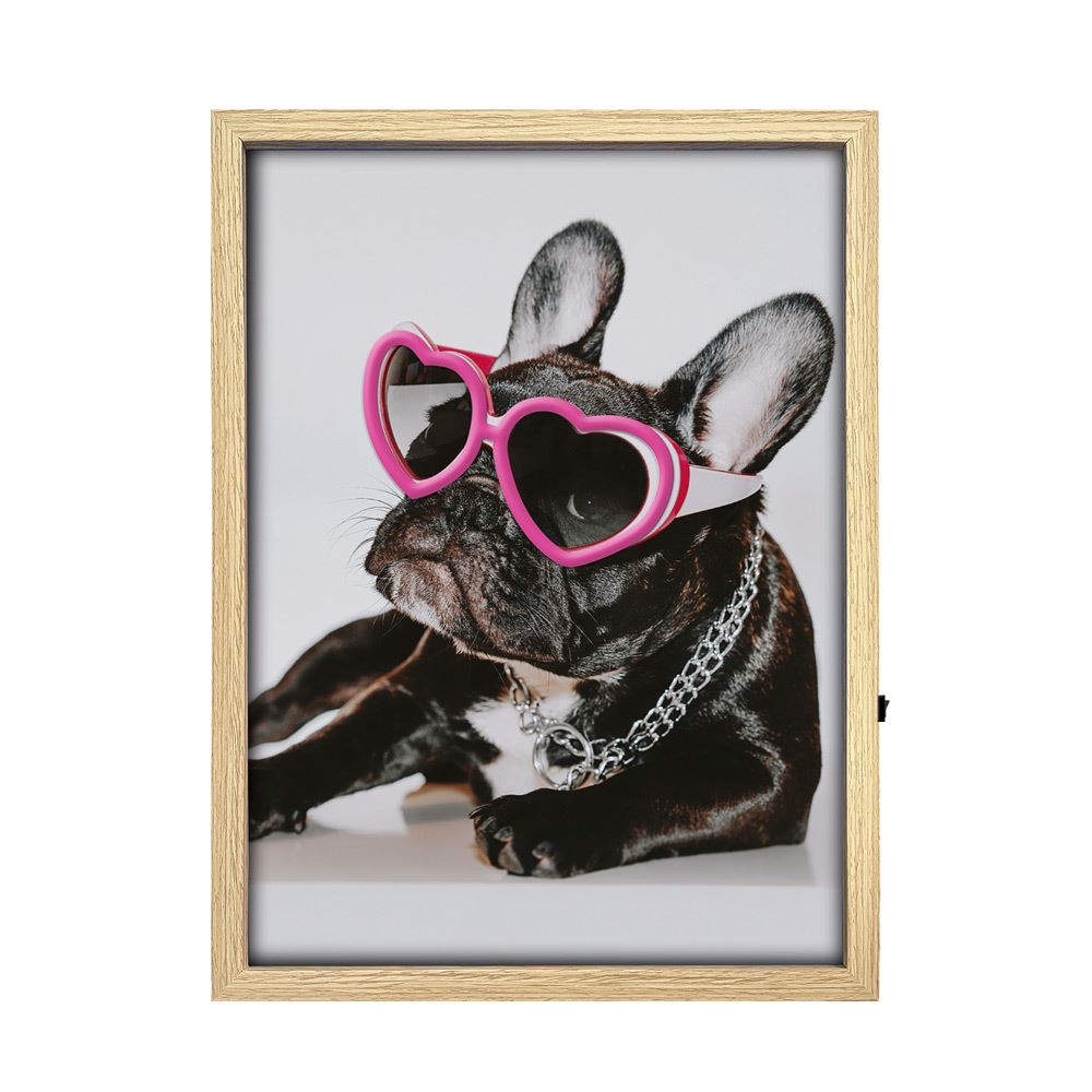 Toile neon chien lunettes 30x40cm