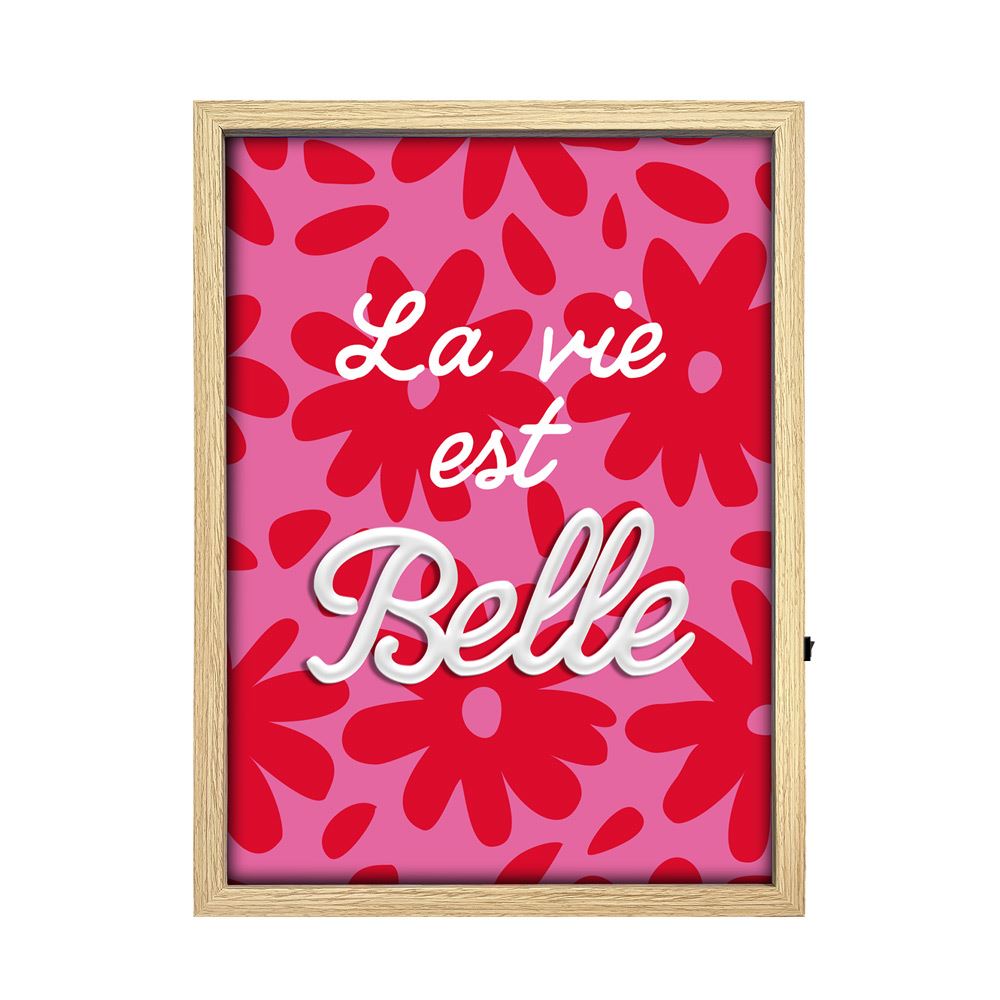 Toile neon la vie est belle 30x40cm
