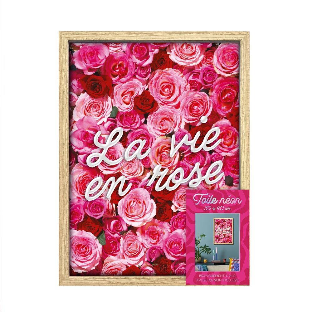 Toile neon la vie en rose 30x40cm