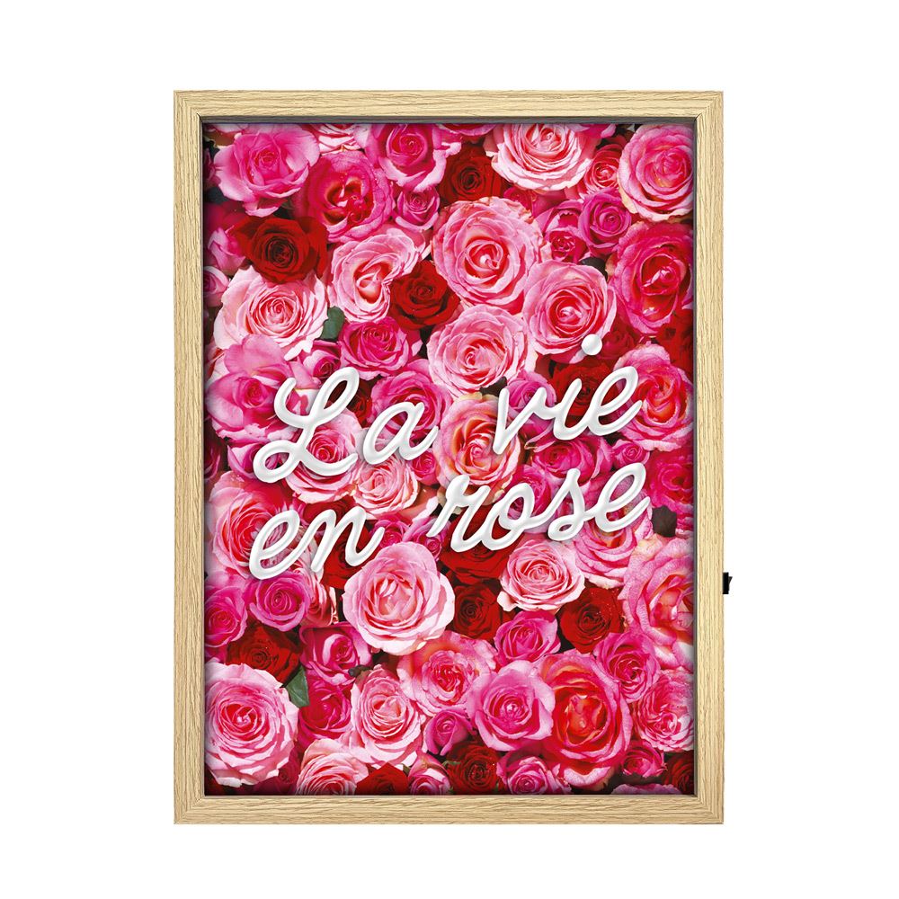 Toile neon la vie en rose 30x40cm