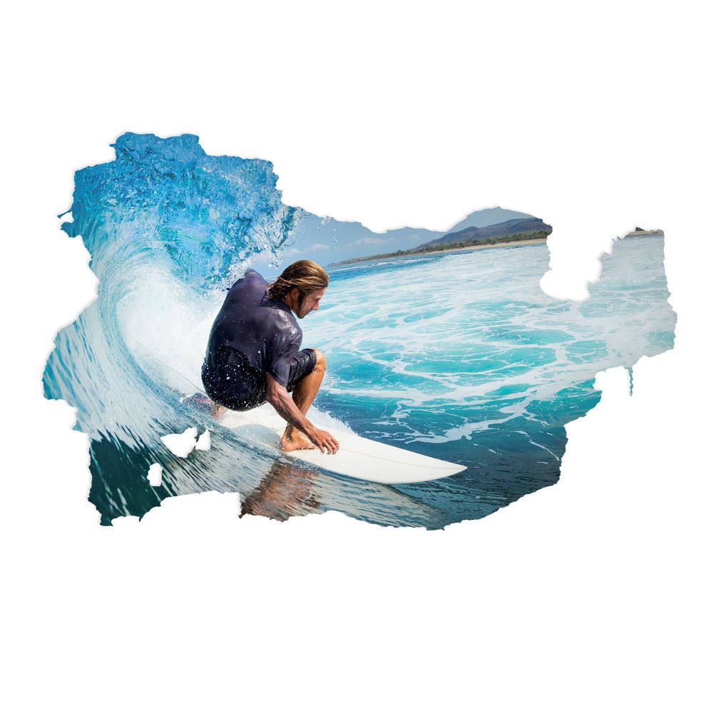 Sticker geant surf