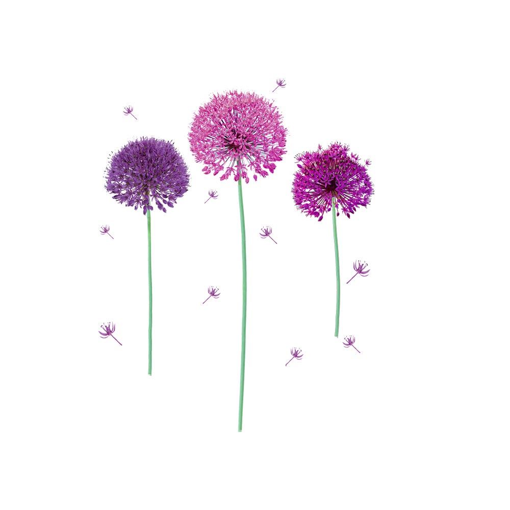 Sticker allium