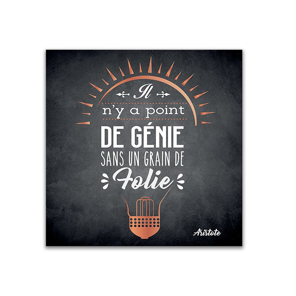 Toile citation ardoise genie/