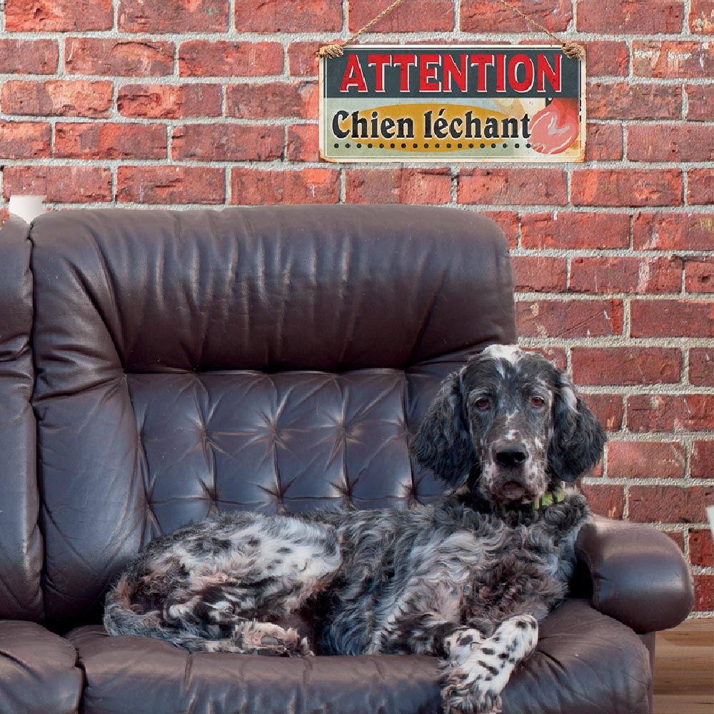 Rubrique Déco Plein AIR & Animaux