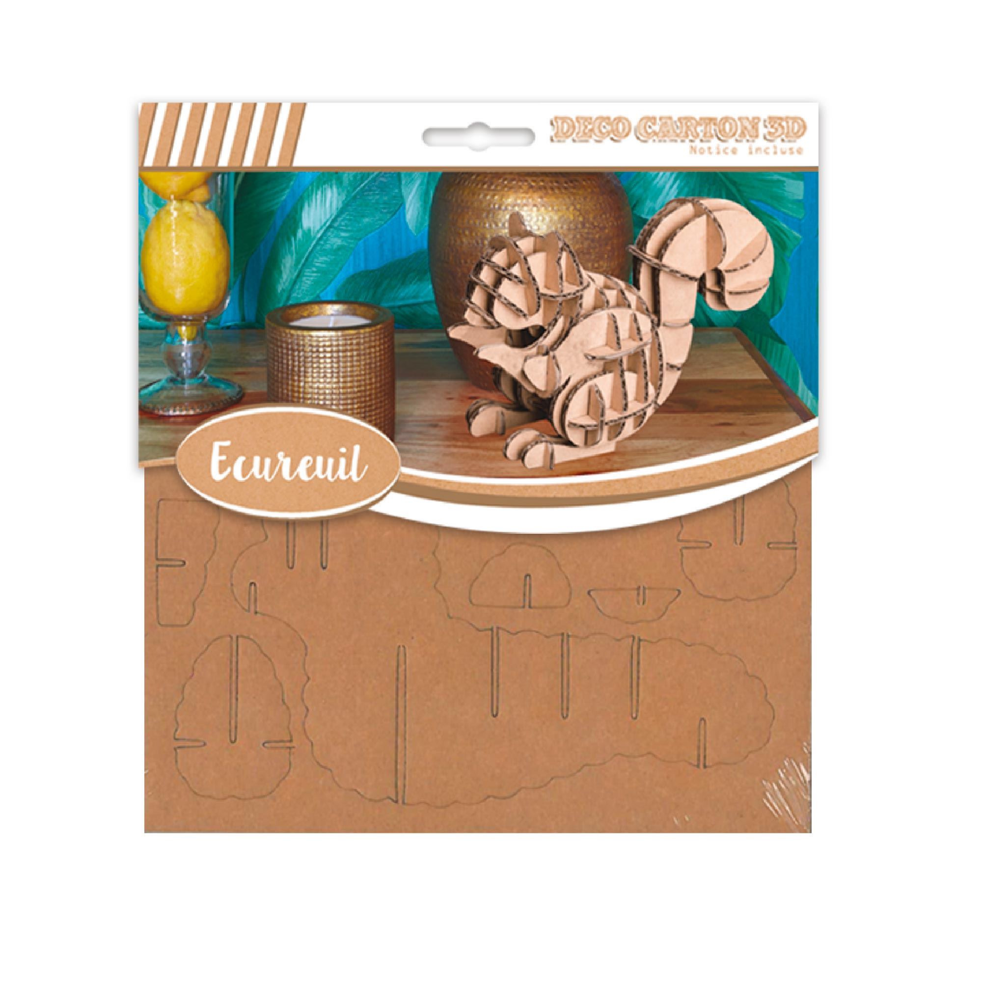 Deco carton 3d pm ecureuil/