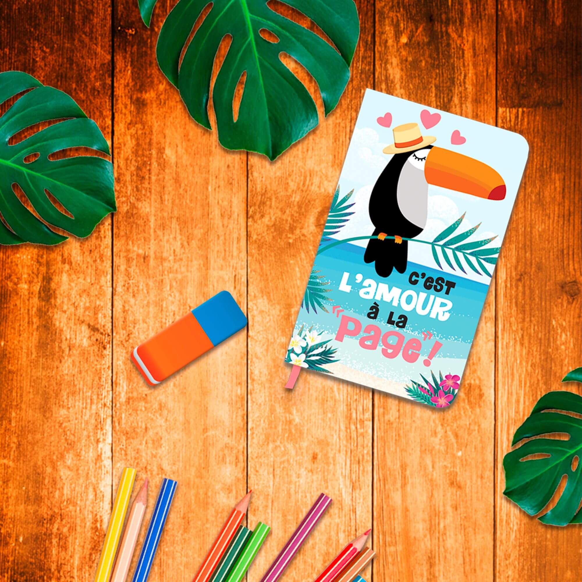 Carnet toucan 2mods /24pcs