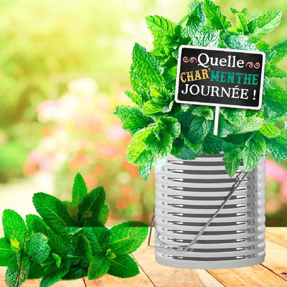 Rubrique Déco Plein AIR & Animaux