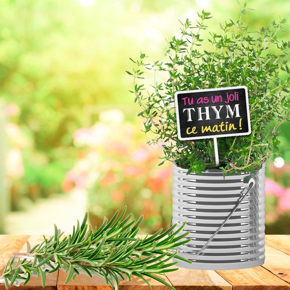 Plaque jardin "thym"