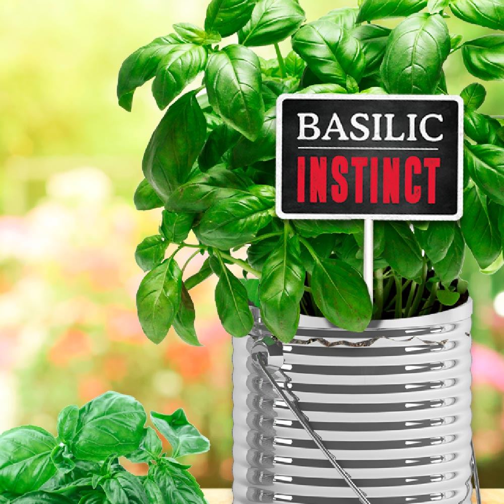 Plaque jardin "basilic"