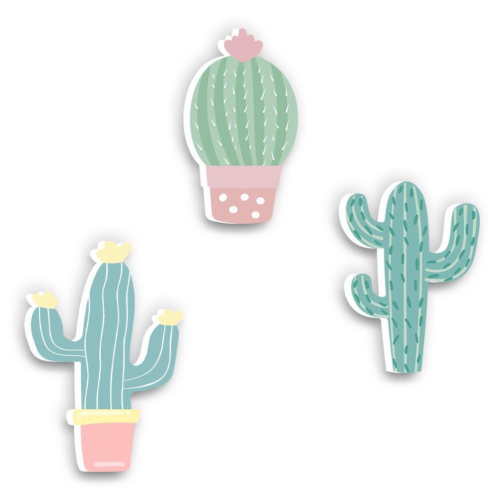 Pack 3 pateres cactus