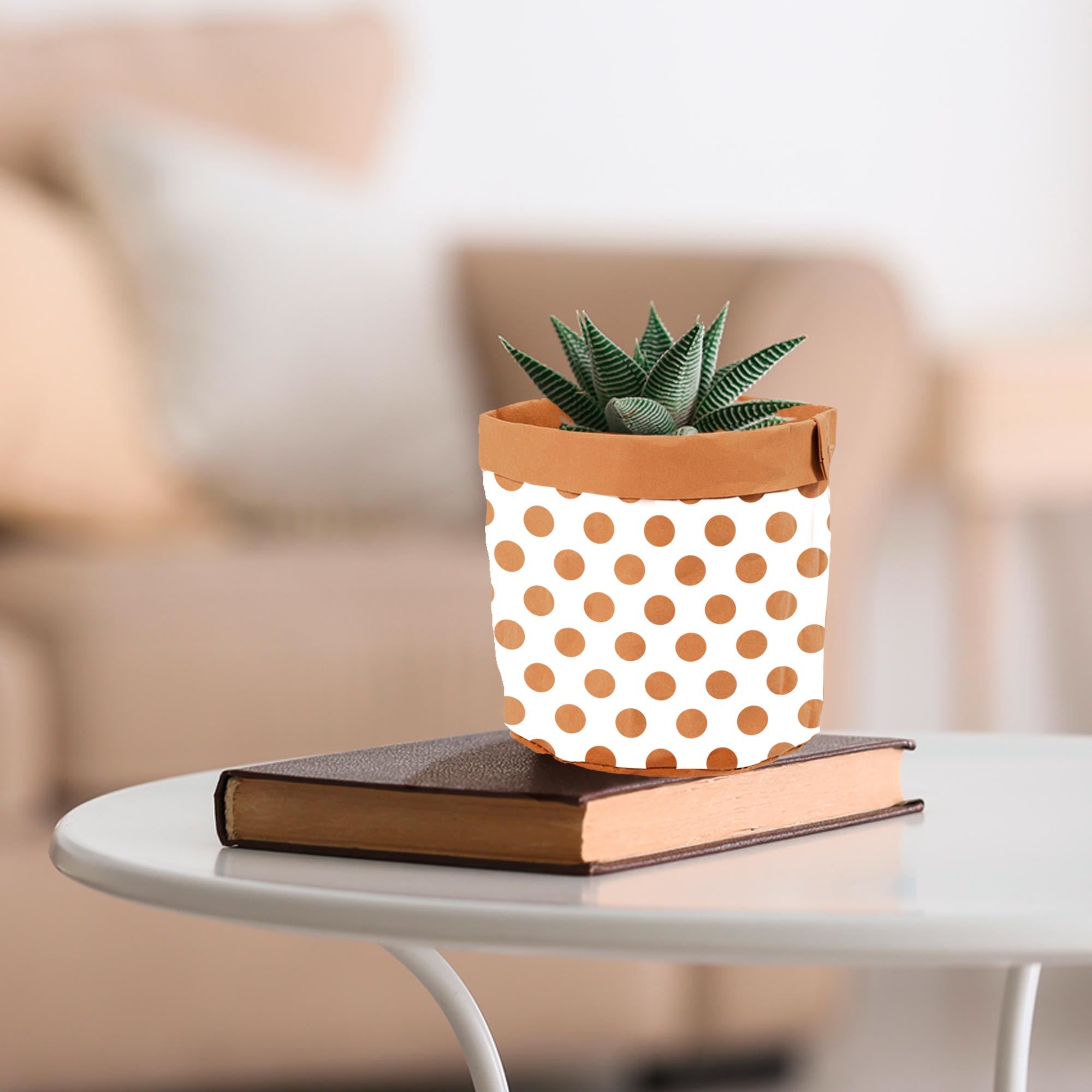 Rubrique Déco de plante