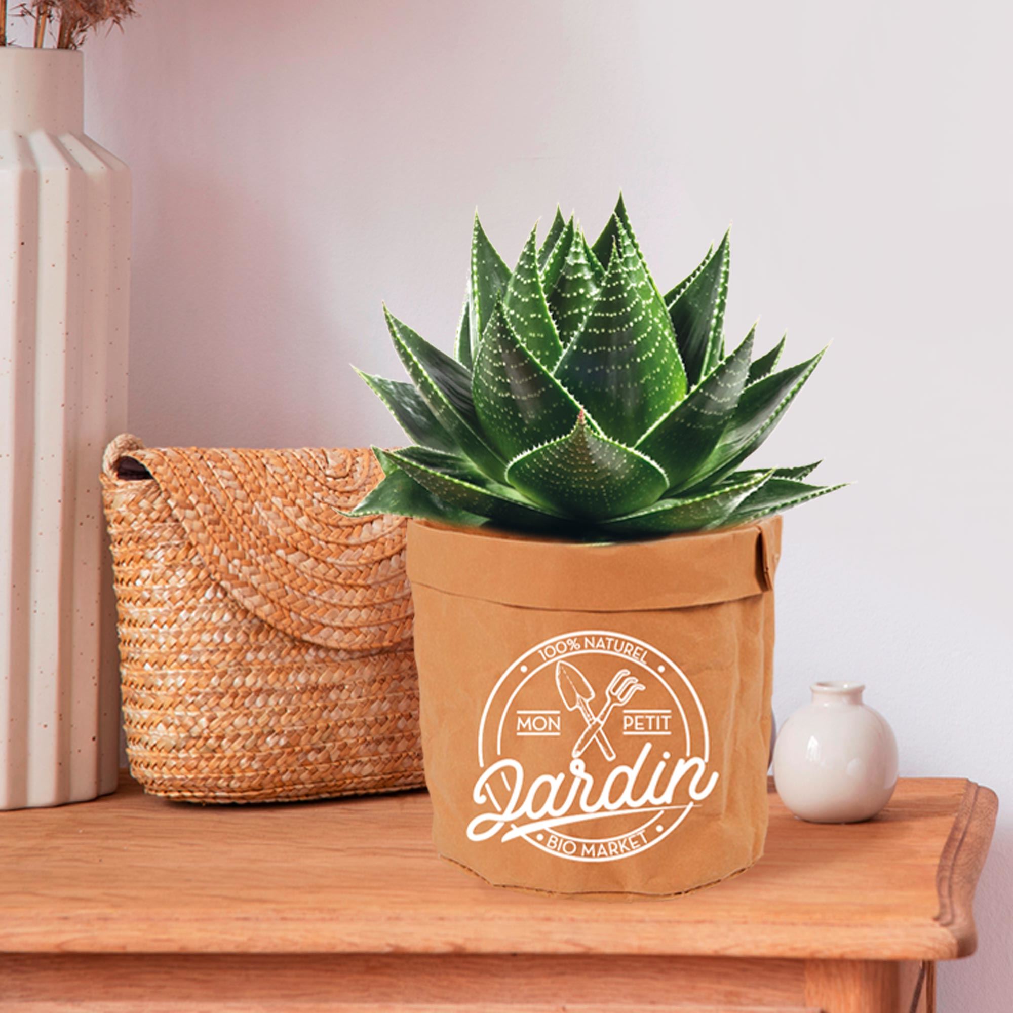 Cache pot papier mp "jardin"