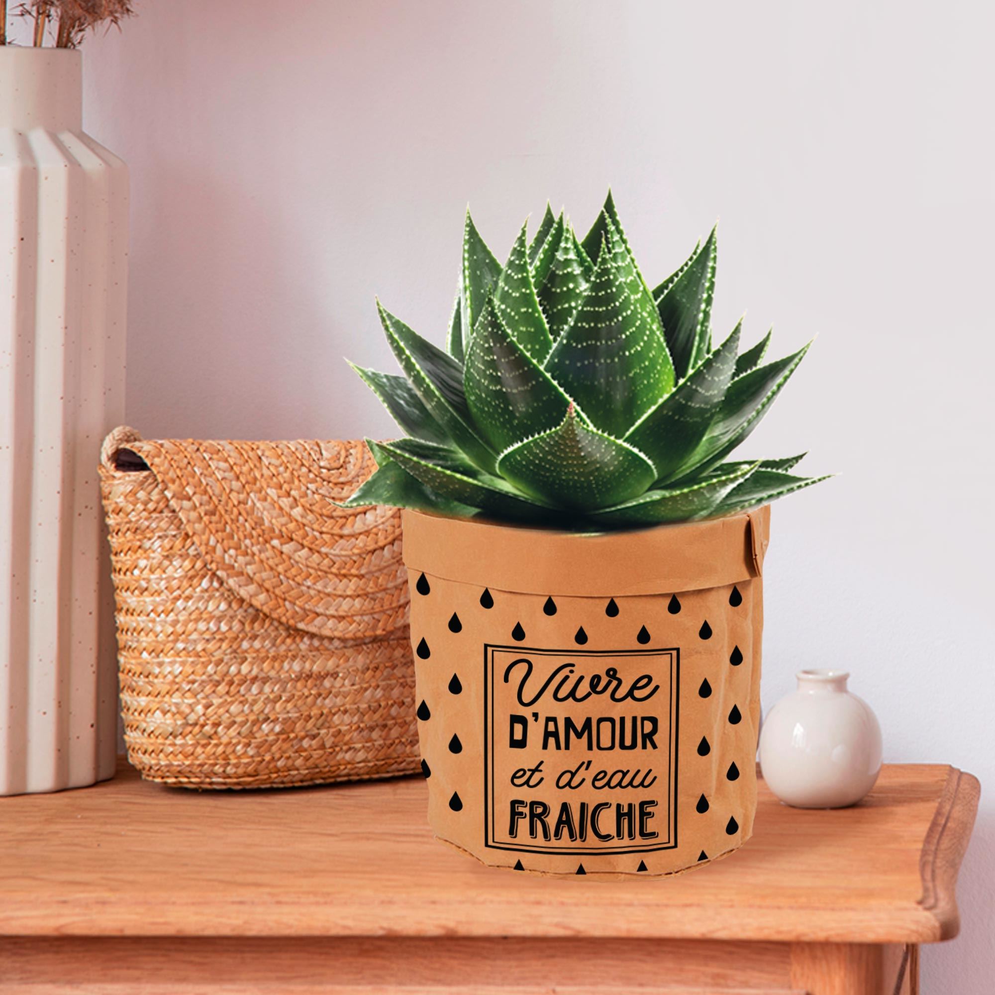Cache pot papier mp "vivre d amour"