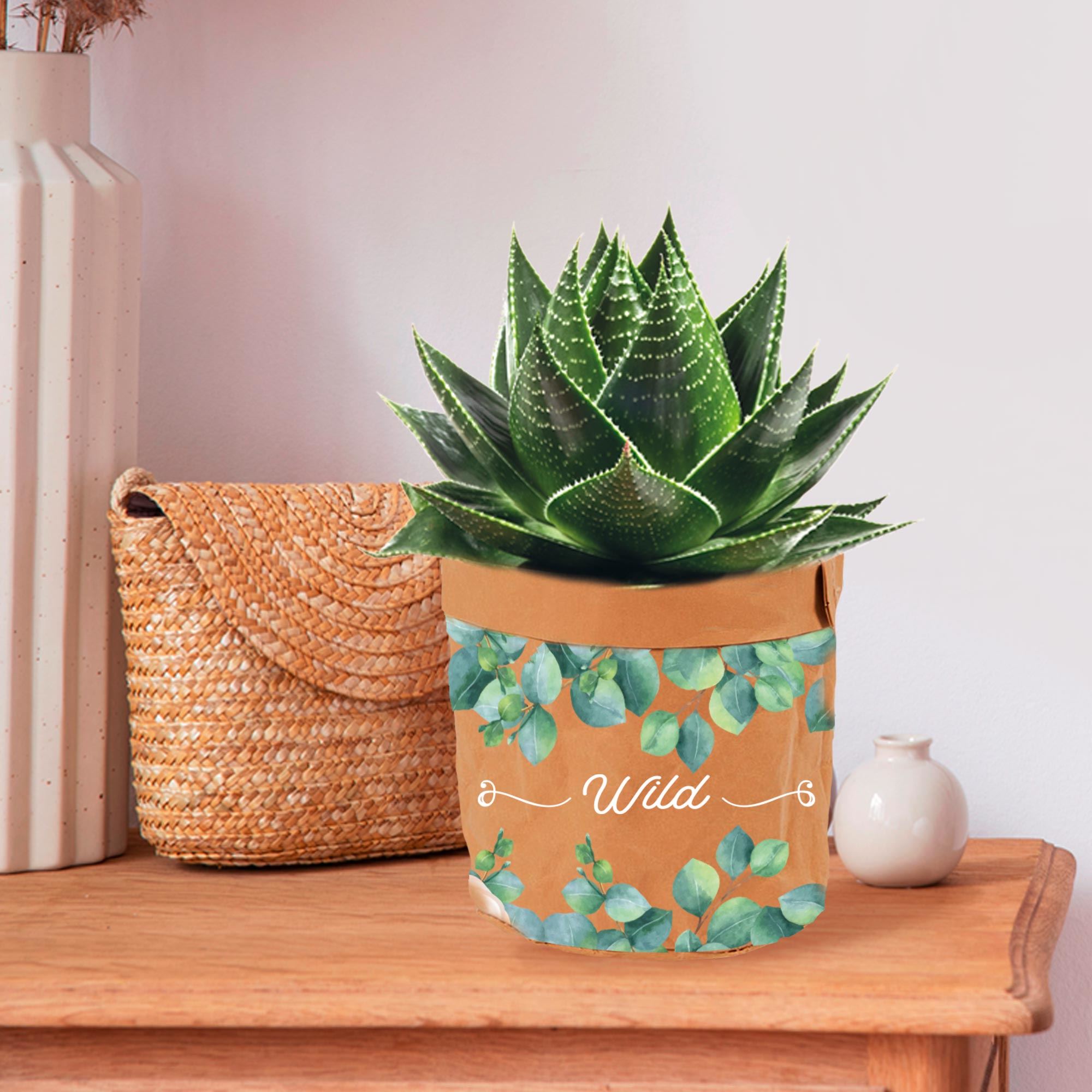 Cache pot papier mp "wild"