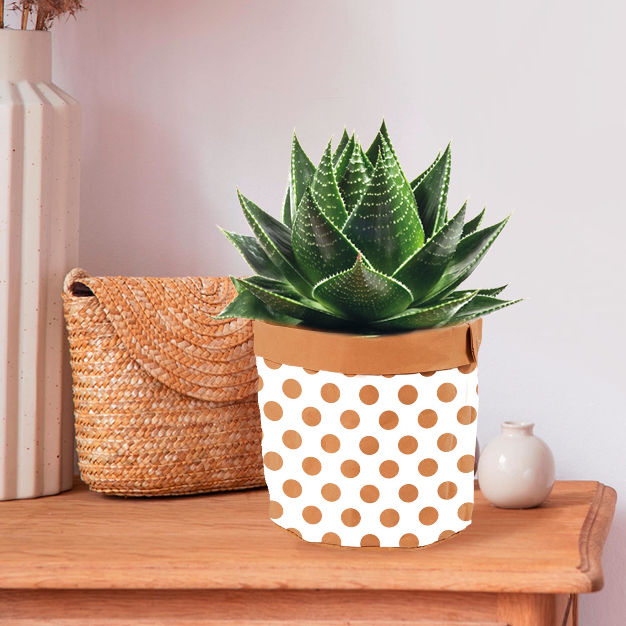 Rubrique Décoration