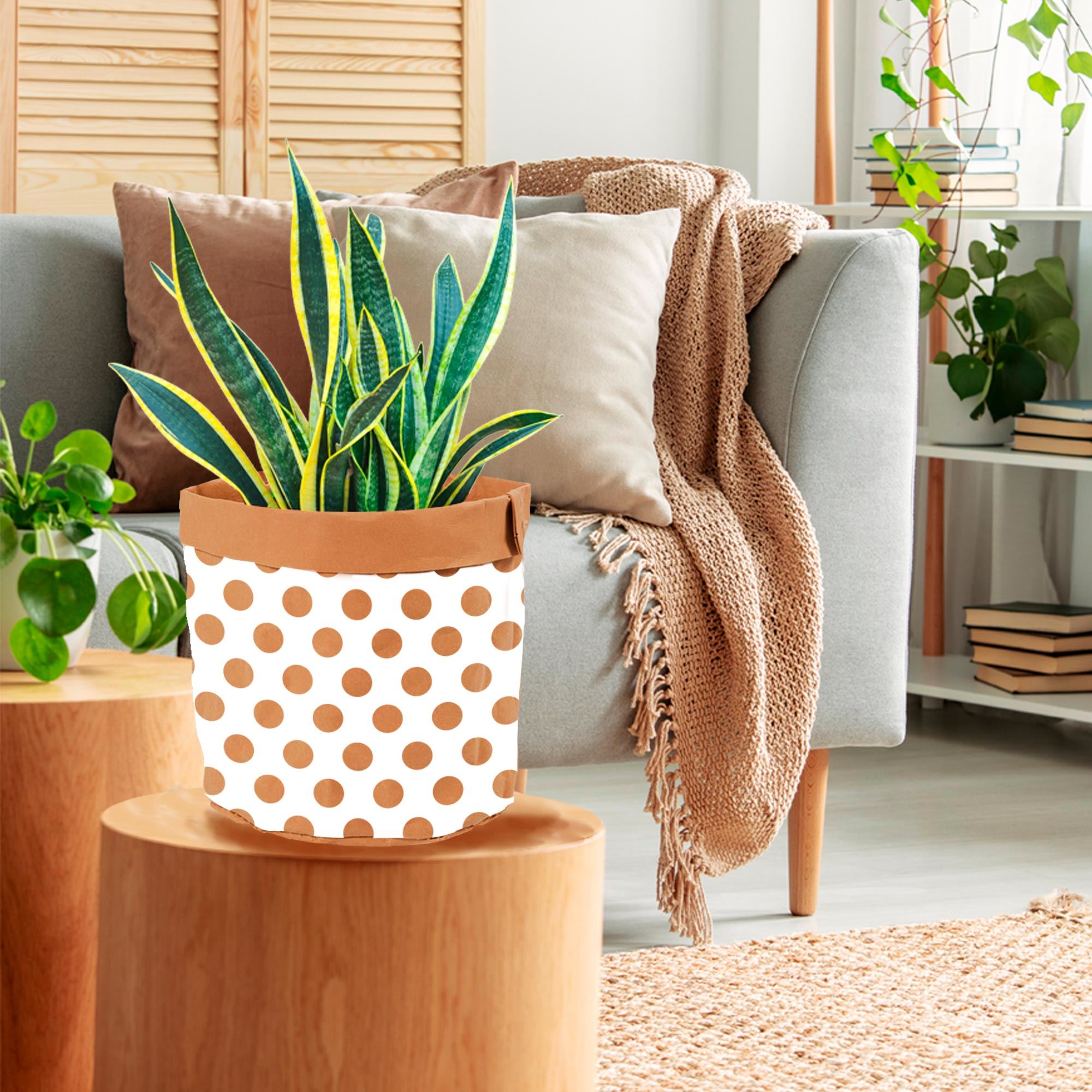 Rubrique Déco de plante