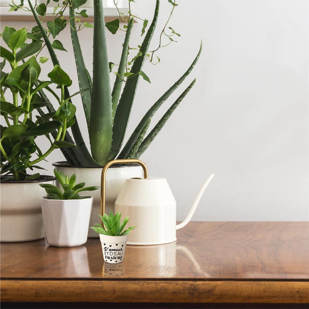 Rubrique Déco Plein AIR & Animaux