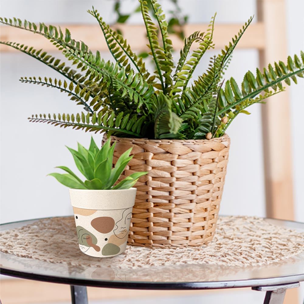Rubrique Déco de plante