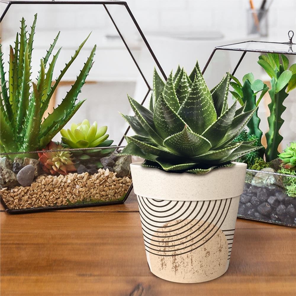 Rubrique Décoration