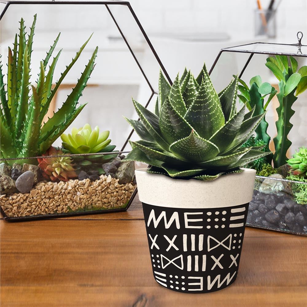 Rubrique Décoration