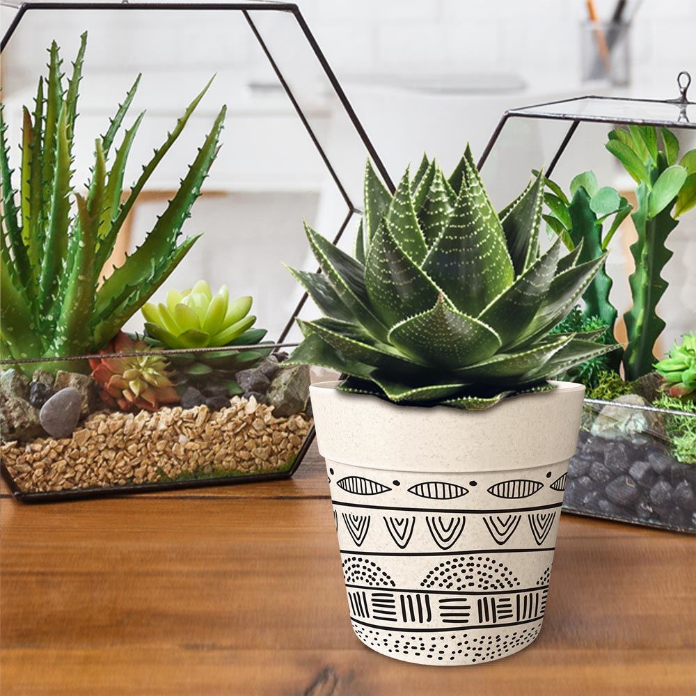 Pot/cache pot bambou 13.8x12 noir/blanc 2mods /12pcs
