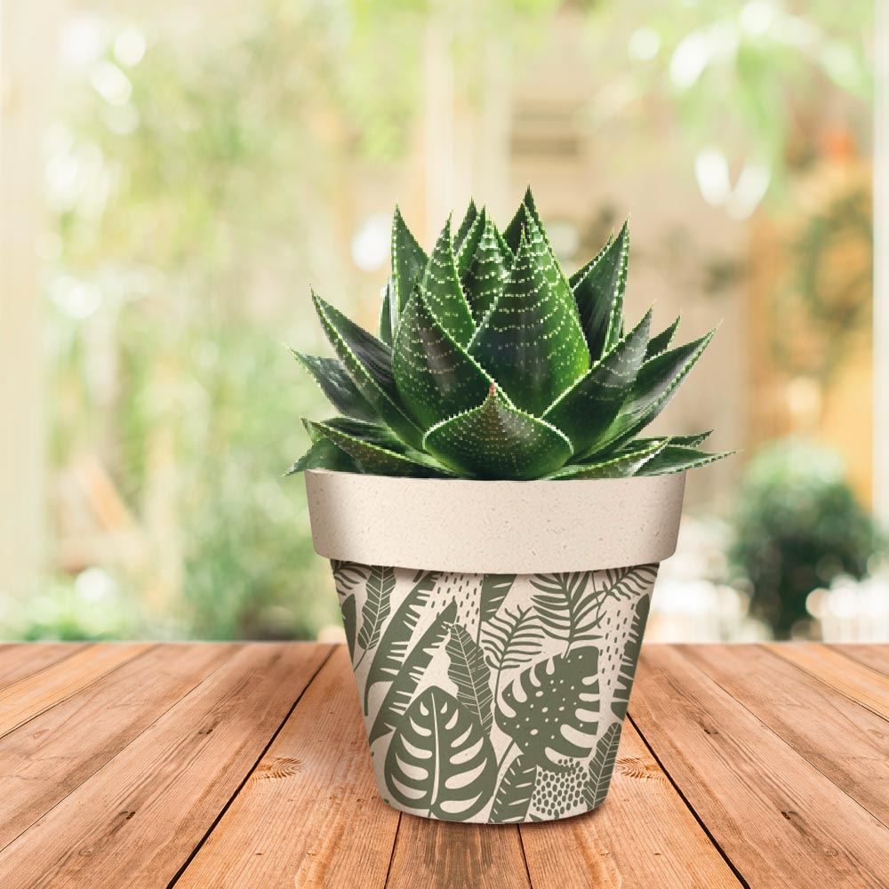 Pot/cache pot bambou 17.2x15.3 palmier/feuilles 2mods /6pcs