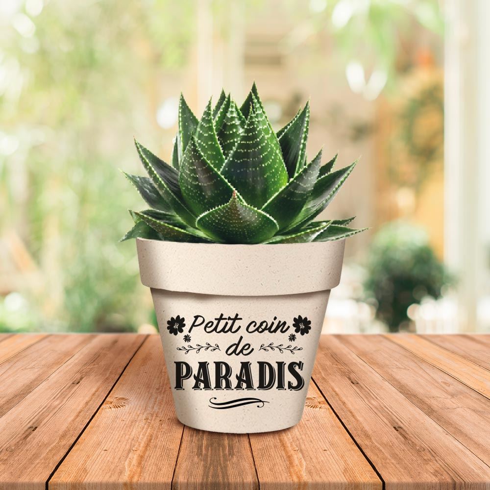 Pot/cache pot bambou 17.2x15.3 paradis/soleil