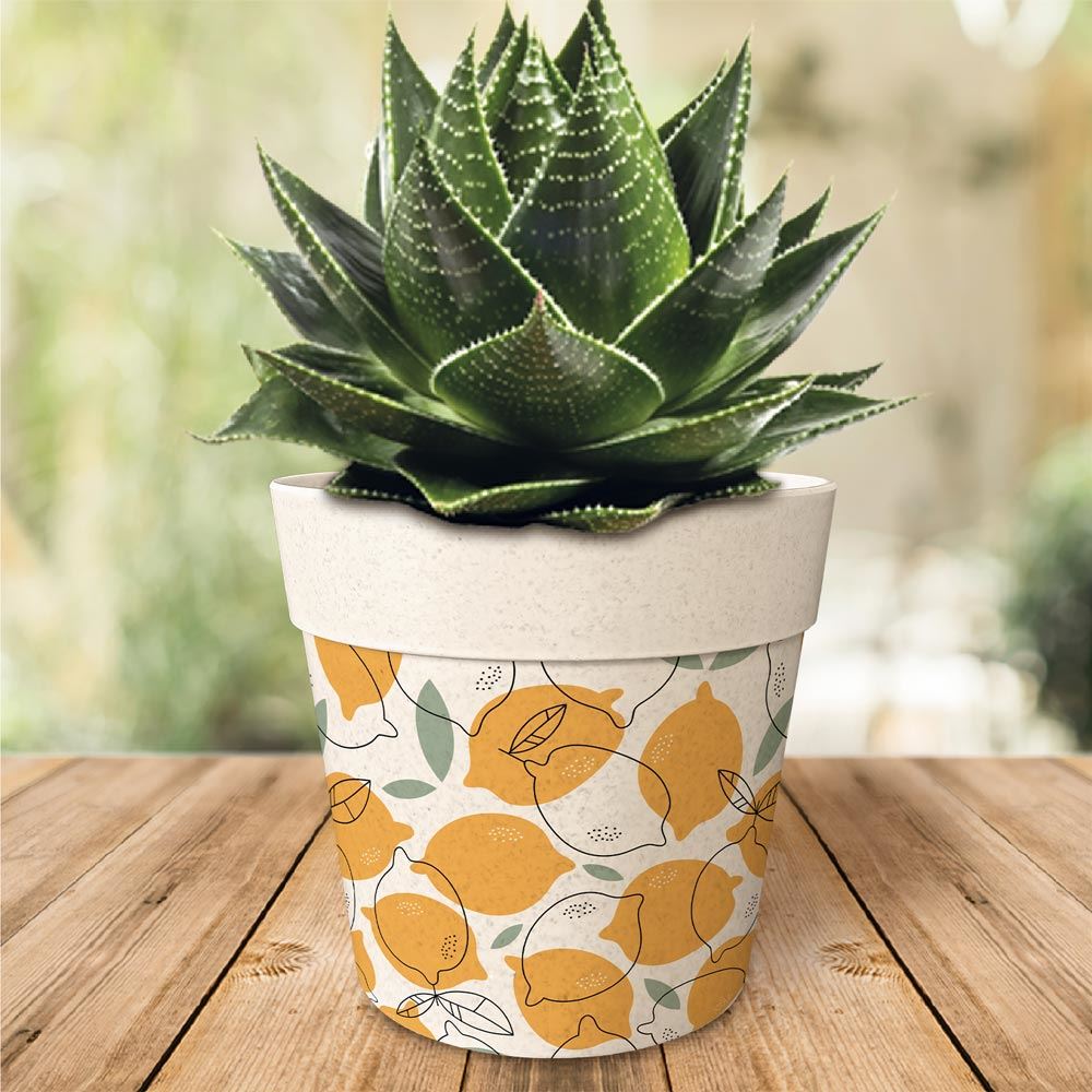 Pot/cache pot bambou 17.2x15.3 citrons/branches 2mod