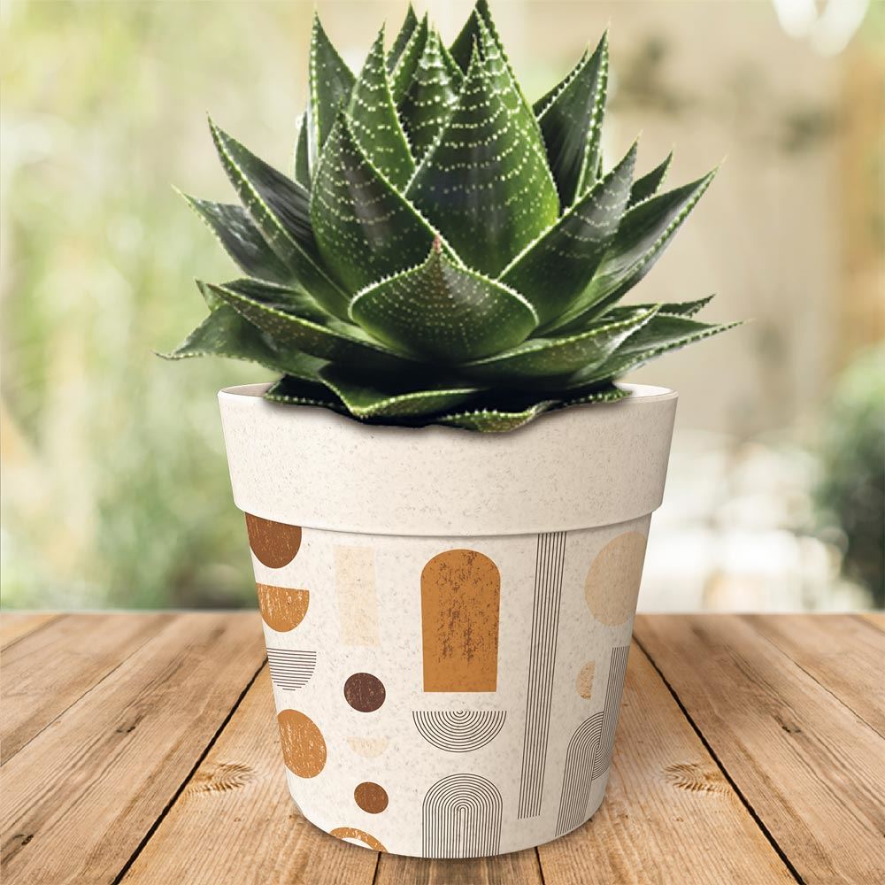 Pot/cache pot bambou 17.2x15.3 graphique 2mods /6pcs