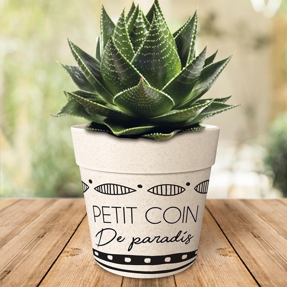 Pot/cache pot bambou 17.2x15.3 texte 2mods /6pcs