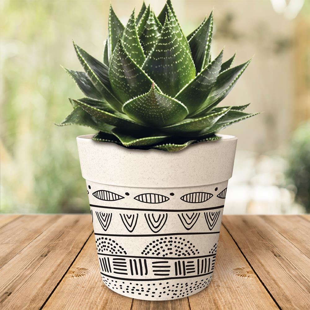 Pot/cache pot bambou 17.2x15.3 noir/blanc 2mods/6pcs