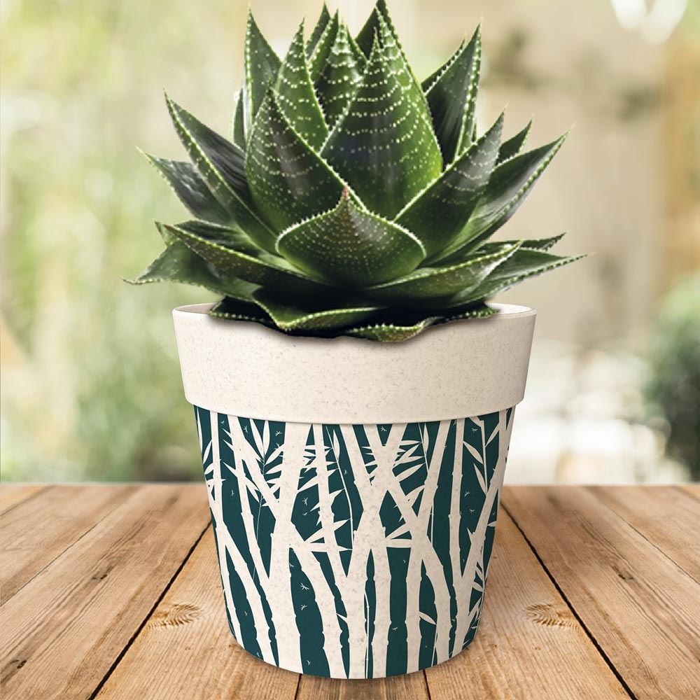 Pot/cache pot bambou 17.2x15.3 tropical 2mods /6pcs