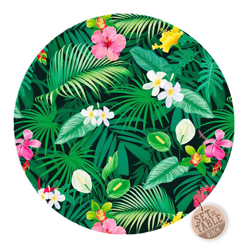 Set de table rond ibiscus+feuilles