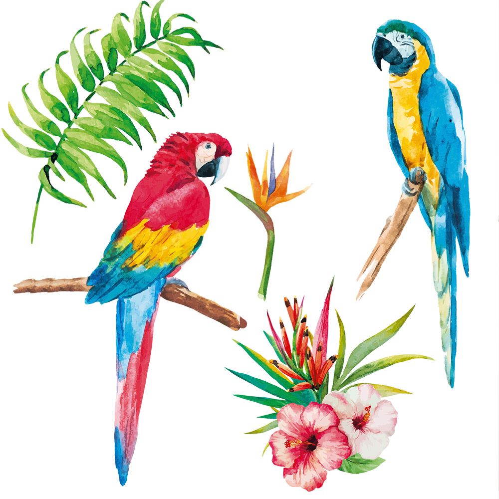 Sticker perroquets