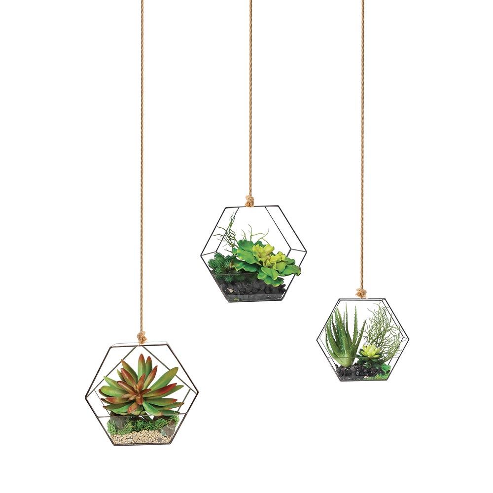 Sticker suspensions plantes